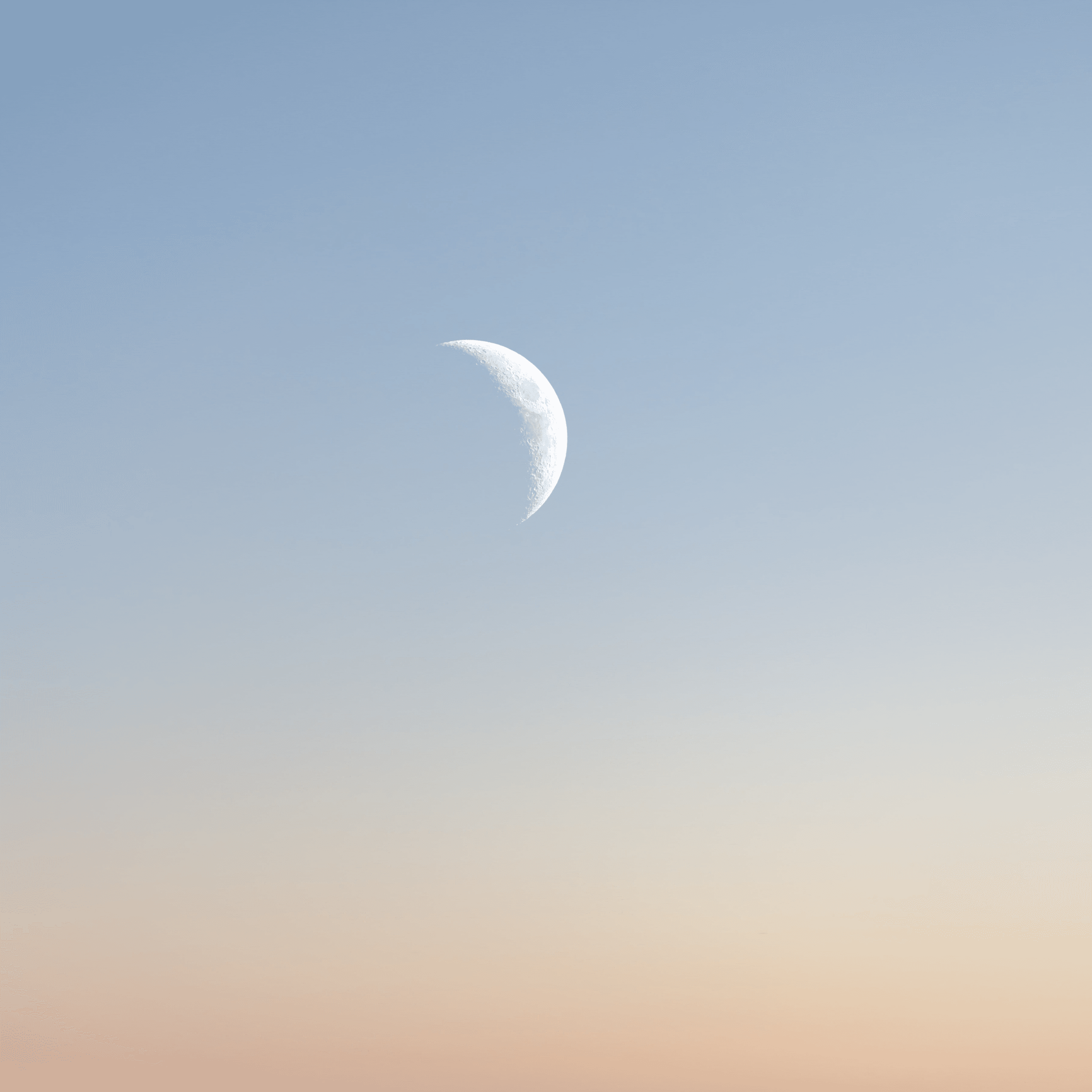 Année 2 - Evolution